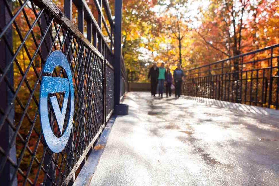 Fall Bridge